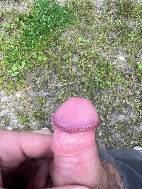 cum pillow Meine Meina 