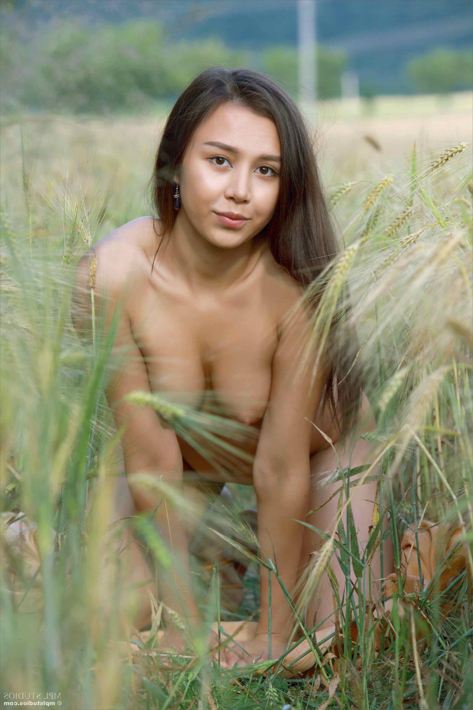 MPLStudios SAKURA Field of tall grass