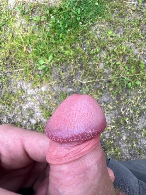 cum pillow Meine Meina 