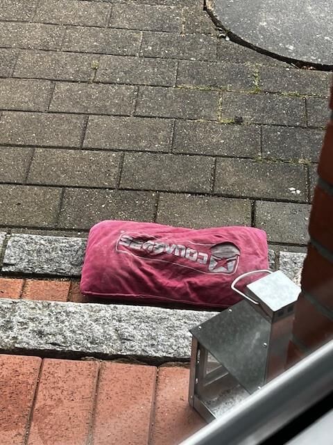 cum pillow Meine Meina 