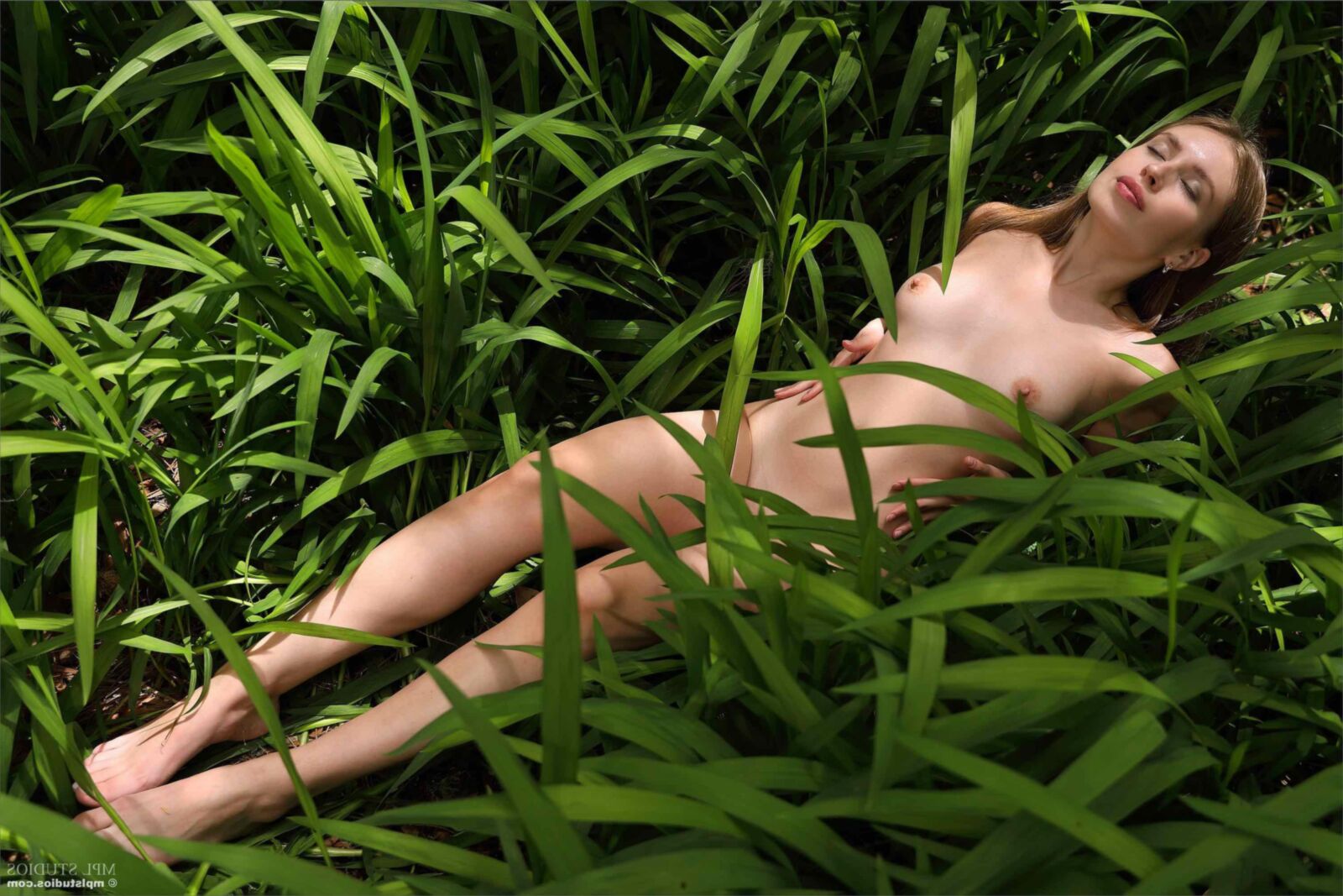 MPLStudios ARISTEIA Natures wonderland