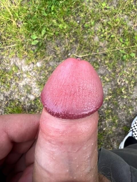 cum pillow Meine Meina 