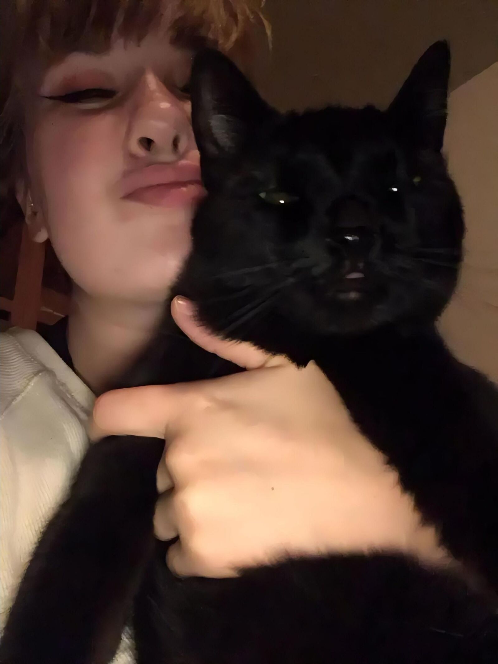私は私の猫が大好きです！